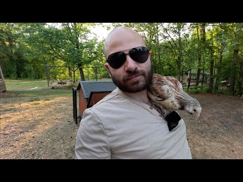 I'm Back / Backyard Tour | The Arnak Way |