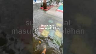 Download Lagu banjir disekolah🙀 #trendingshorts #views #viralvideo #banjir #shorts MP3