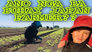 SALIKUD NG BUHAY JAPAN FARMERS | Japan Trainee | Kumamoto, Japan