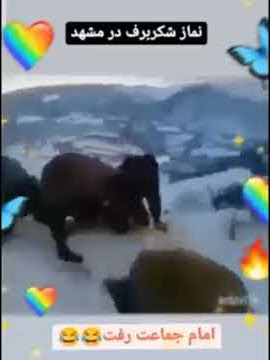 Funny clip.viral video of funny video for mix tv