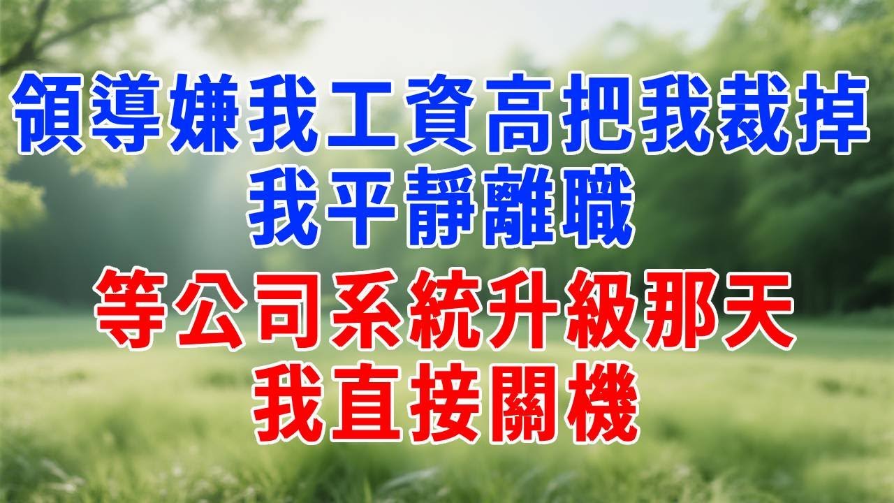 領導嫌我工資高把我裁掉，我平靜離職，等公司系統升級那天，我直接關機。#原创视频 #人生感悟 #故事分享 #故事頻道 #生活經驗 #职场 #打脸