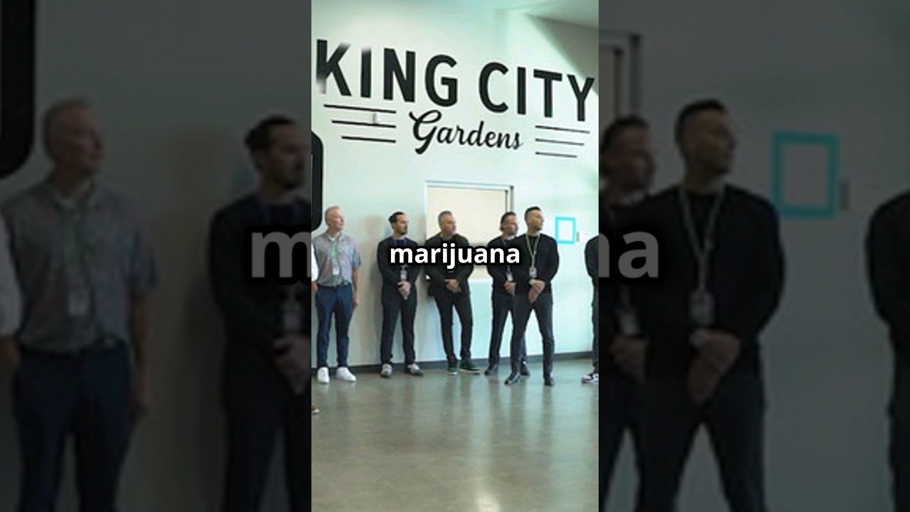 Ohio’s🚦Green Light: Recreational Marijuana Sales Imminent! #viral #viralshorts #viralshort