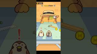 Hide and Seek: Cat Escape! 49 Level  | Best Android, iOS Games #shorts #shortsvideo