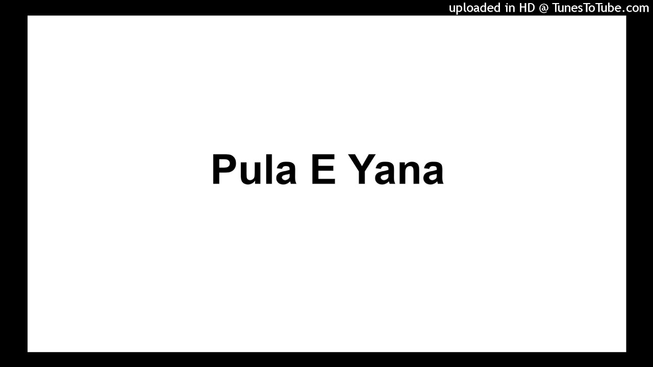 Dj Fixer _ Pula E Yana feat Dj Lenyemo