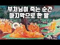 깨달음이란 무엇인가 부처님의 유언ㅣ스타씨드 깨달음이란 무엇인가 부처님의 유언ㅣ스타씨드