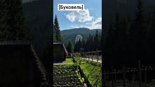 #ias