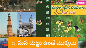 4th class Environmental science @ Telugu medium @ 5.మన చుట్టు ఉండే మొక్కలు @ TET + TRT