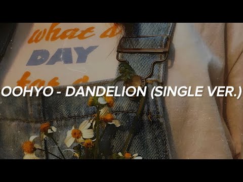 OOHYO (우효) - 'Dandelion (민들레)' (Single ver.) Easy Lyrics