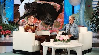 Dave Franco's Cats Took Over His Life