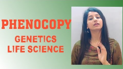 Phenocopy|phenotype|genetics - part IV|Csir-net JRF|GATE|Life Science|