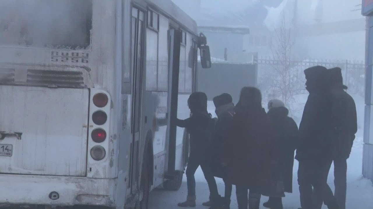 Поселок молодежный автобусы. Фото нерюнгринцев у автобуса.