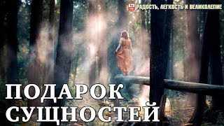 Подарок сущностей. Ясодхара Ромеро Фернандес Подарок сущностей. Ясодхара Ромеро Фернандес