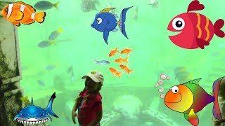 10 Little Fishes / Kids Song About Numbers. 10 Маленьких Рыбок / Песенка Для Детей