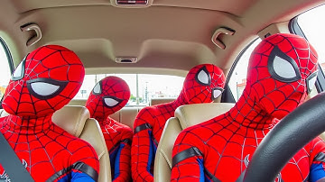 سورة البقرة - تلاوة مرتلة بصوت الشيخ ياسر الدوسري