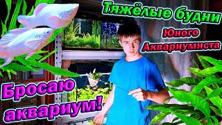 Всё! Бросаю аквариум! [Тяжёлые будни юного аквариумиста]