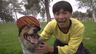 Alex  Jumpy   The Parkour Dog1