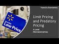 Limit Pricing and Predatory Pricing I A Level and IB Economics