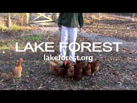 Lake Forest Church Gieco Commercial Parody 2 (Revelation)