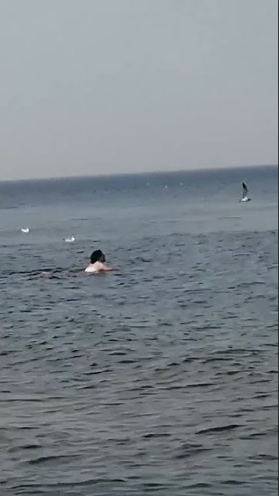 Ладожское озеро. вода +16. 24 августа. - YouTube