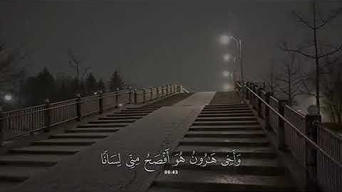 جزء 5 | تلاوة هادئة آيات من سورة القصص بصوت جداً جميل  - محمد بو حسون ✨ .