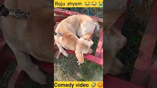 Raju shyam 😂😂😭 #comedy #funny #bhojpuri #technology #motivation #labrador