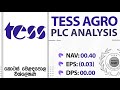Tess Agro PLC Stock Analysis (TESS.N) | Share Market Sinhala Guide