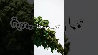 يوم العلم السعودي🇸🇦🤍تنفيذ حسب الطلب (من تصميمي ) 🔥