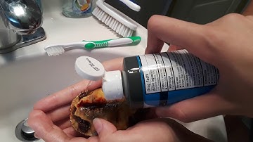 Turtle shell rot treatment