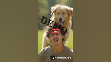 iPhone Video Hack: Convert ANY Format to Play Perfectly in 4K (No More Stuttering!)