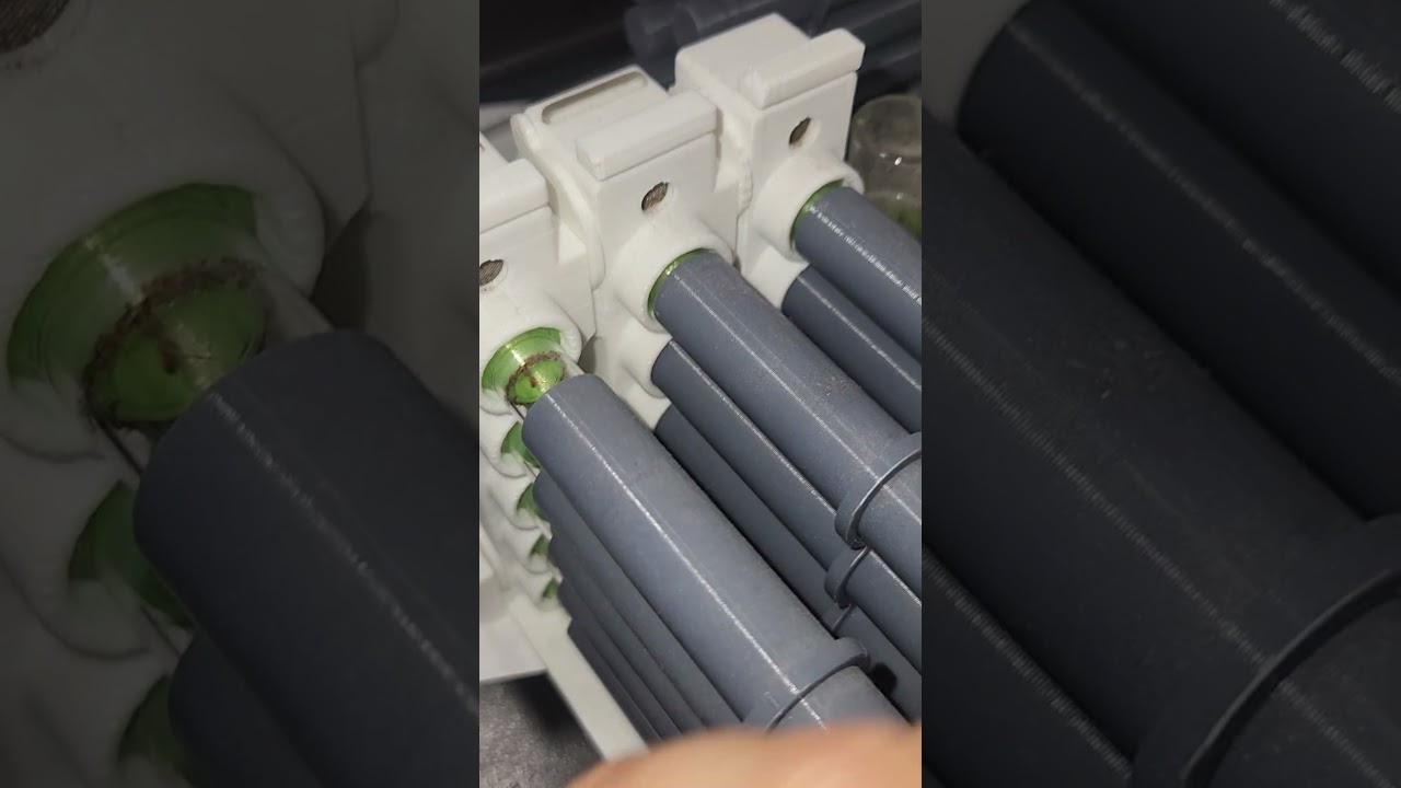 Colonia de mas de dos años  