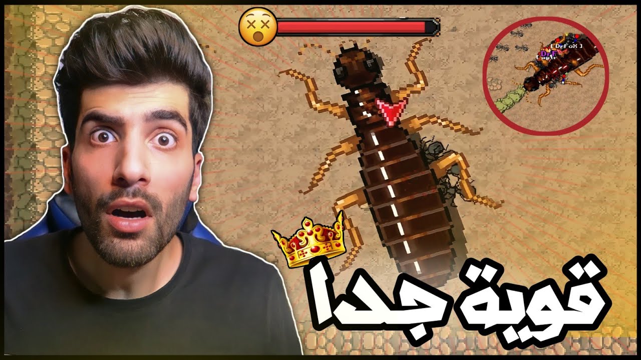 مواجهة ملكة النمل الابيض حرب النمل Pocket Ants YouTube