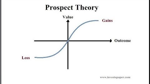 Video 3: Prospect Theory