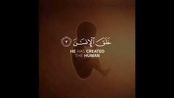 قران كريم بصوت حسام الدين عبادي 💗- اجمل حالات واتس اب دينيه - 💗 تلاوة خاشعة
