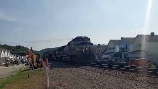 NS 9682 leads 590