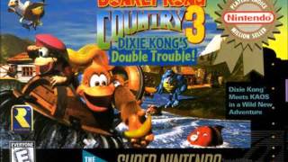 Donkey Kong Country 3 Water World Orchestral
