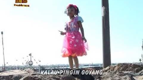 Bilkies - Goyang Dong Mang [OFFICIAL]