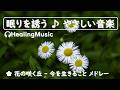 眠くなる心を癒す音楽 【 花の咲く丘 -- 今を生きること 🌸 2曲メドレー 】#リラックスミュージック #リラックス #soothingrelaxation