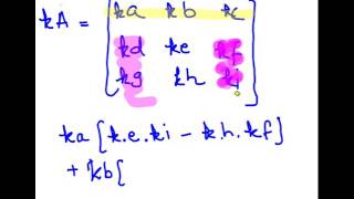 Linear Algebra : Proofs for Determinant Identities