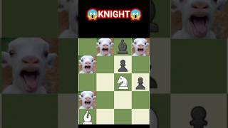 Knight Chess "GOAT" fork #chess #shorts #chessknight #knight #chessedit #edits