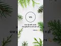 Day290 quotes by vg #india #quotes #daily #lines #busy #world #mindset #work #problems #zindagi #yt
