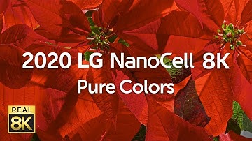 2020 LG NanoCell 8K l  Pure Colors 8K HDR 60fps