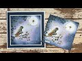 Star gazing with raven by jo rice laviniastamps cardmaking