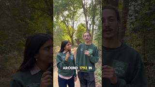 Finding the unmarked grave of Zilpha Elaw