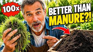Full 100x Better Than Cow Manure Turn Weeds Into Super Rich Compost in Just 7 Days — No Bad Smell News