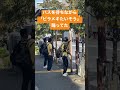 【TikTok150万回再生】バス停で「ピラメキたいそう」踊ってた #ピラメキーノ #ピラメキたいそう #z世代 #伝説 #ダンス #shorts