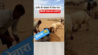 arab#azadvisa #short#viralshorts#trending#job#driverlife#labour #ytshorts#yttrending#viral