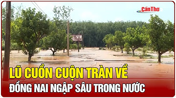 Lũ cuồn cuộn tràn về, Đồng Nai ngập sâu trong nước | Cần Thơ