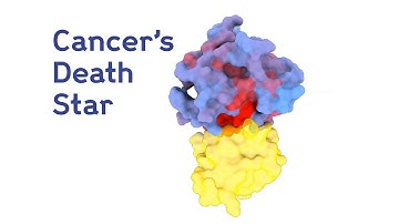 Secret vulnerabilities of cancer