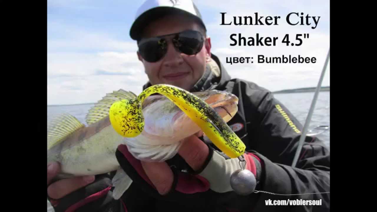 Leurre souple monté Lunker City shaker 115 sur tête VDlimGP 35 et 45 g