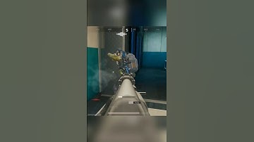 Bizon vs Player #deltaforce